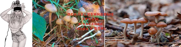 молекула духа Верхнеуральск