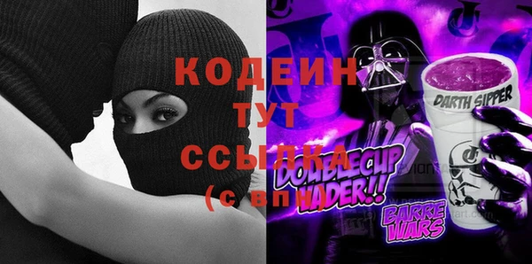амф Апатиты